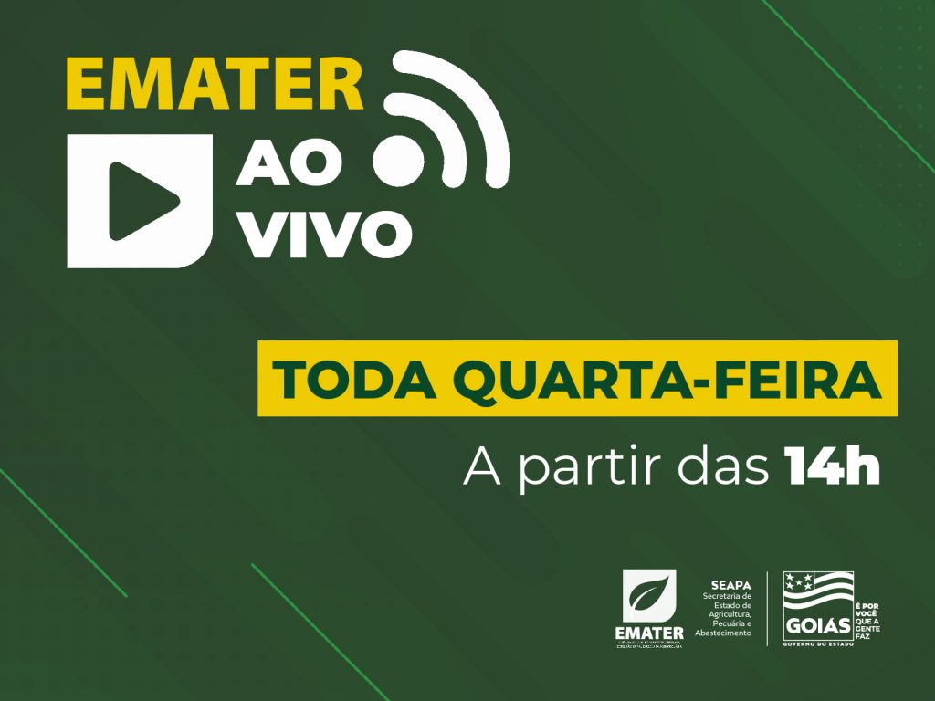 Aposentadoria rural e segurança pública são os assuntos mais